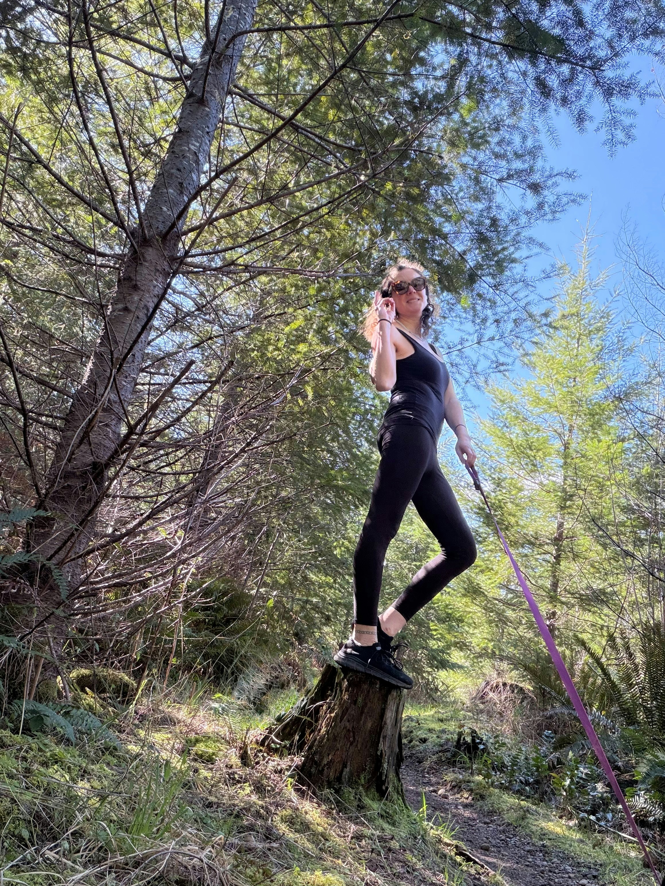 Vai al profilo di Meg von Haartman