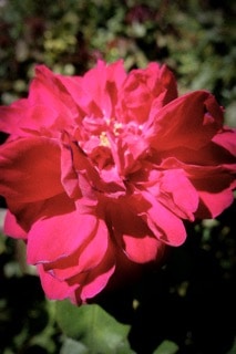 Zum Profil von Elijah Lee