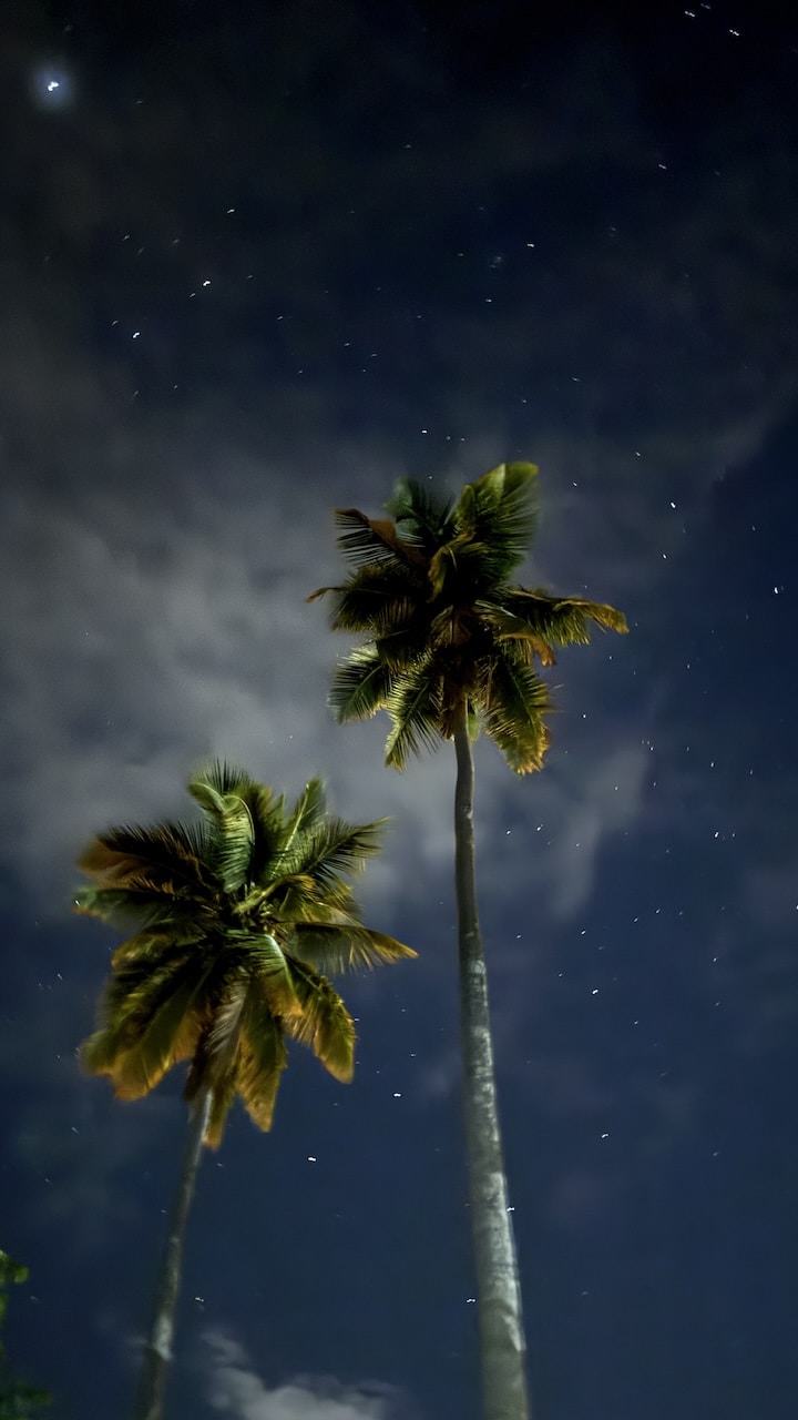 William A의 프로필로 이동