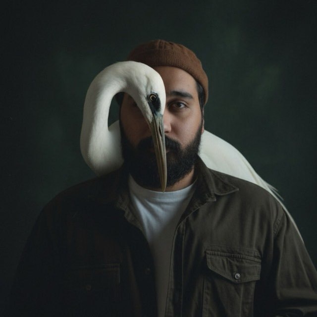 Go to Mahziar Mousavi's profile
