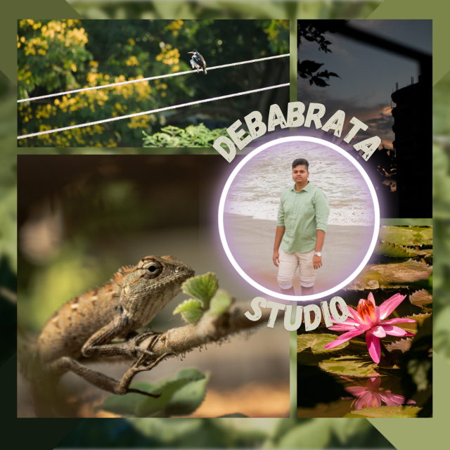 Buka profil Debabrata Patra