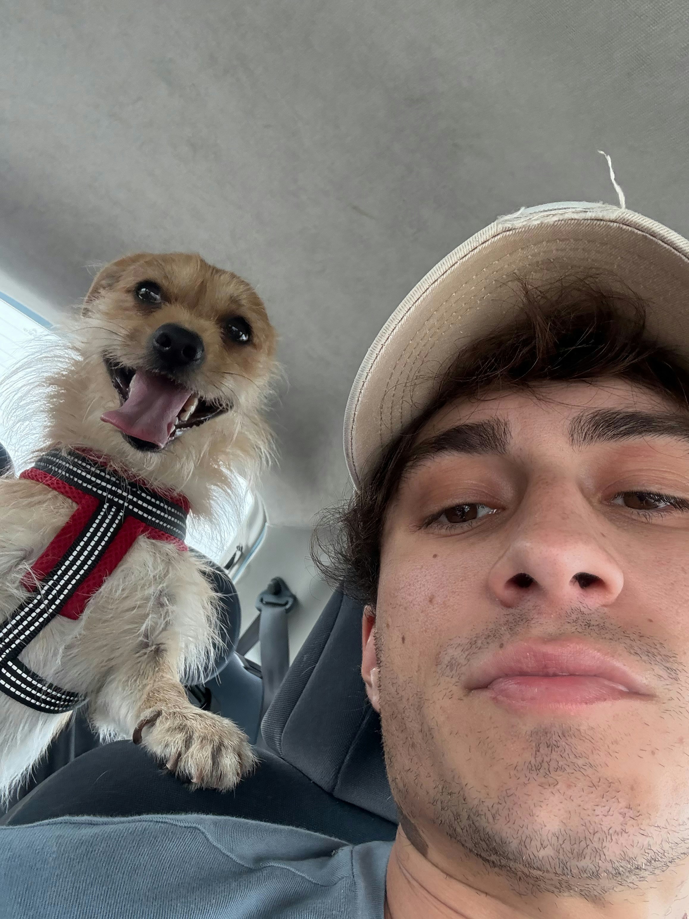 Accéder au profil de Luis