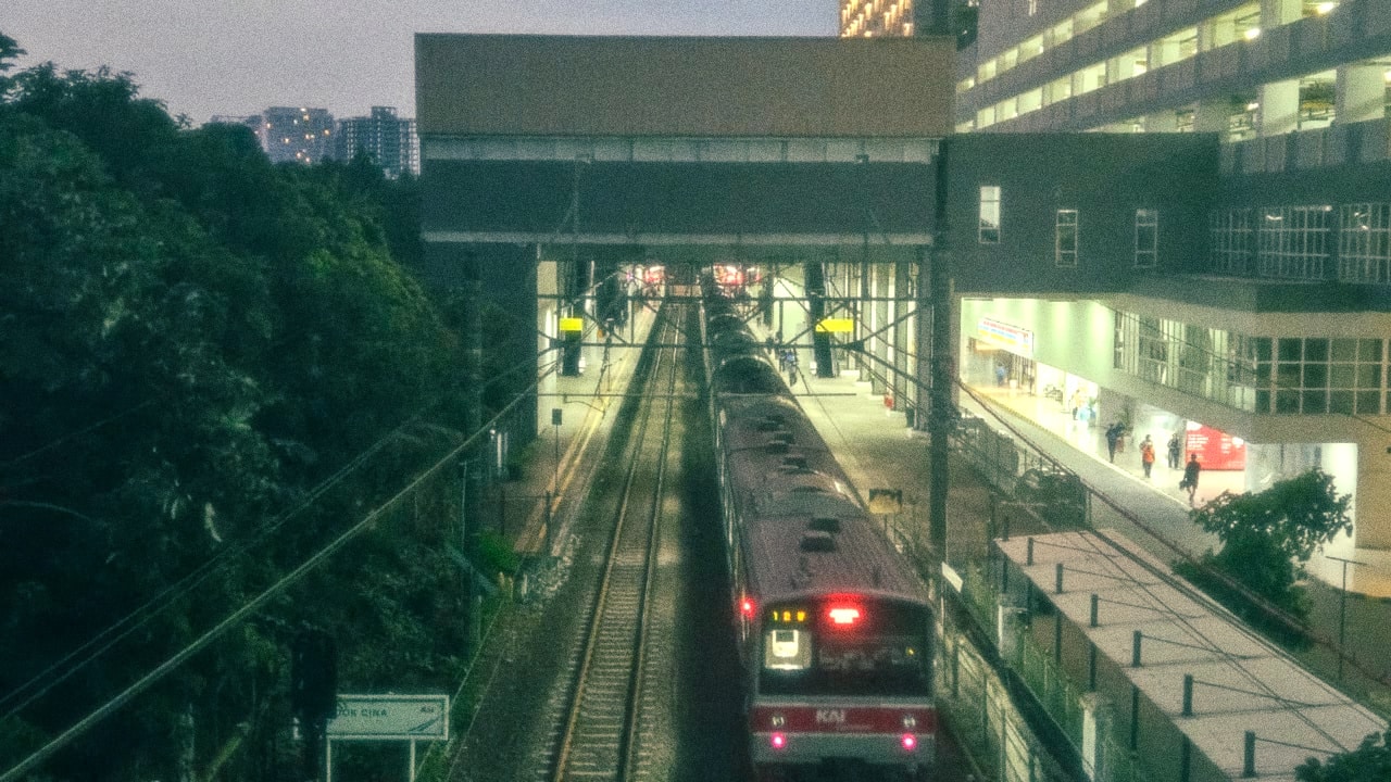 Gaetania F. A.의 프로필로 이동