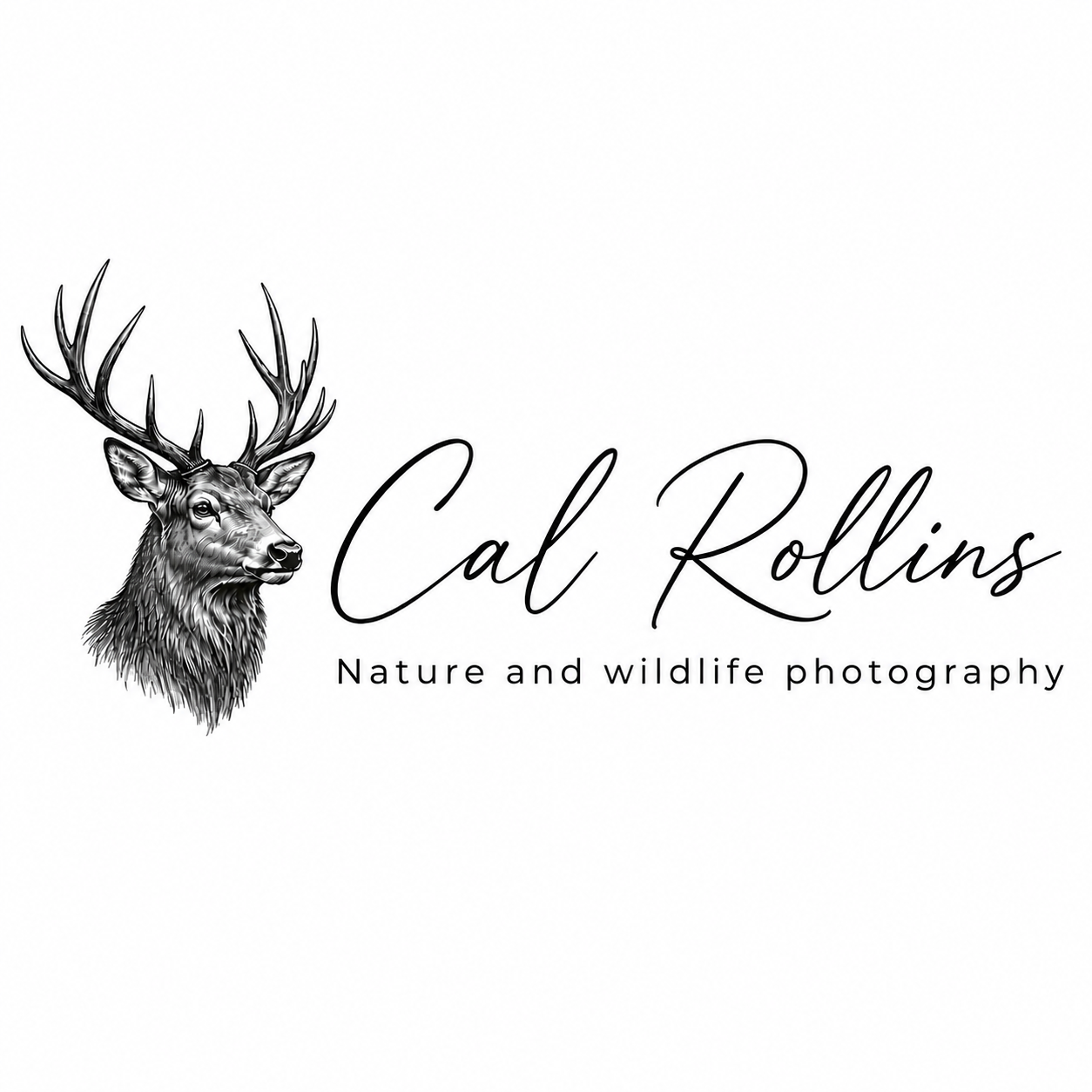 Cal Rollins
