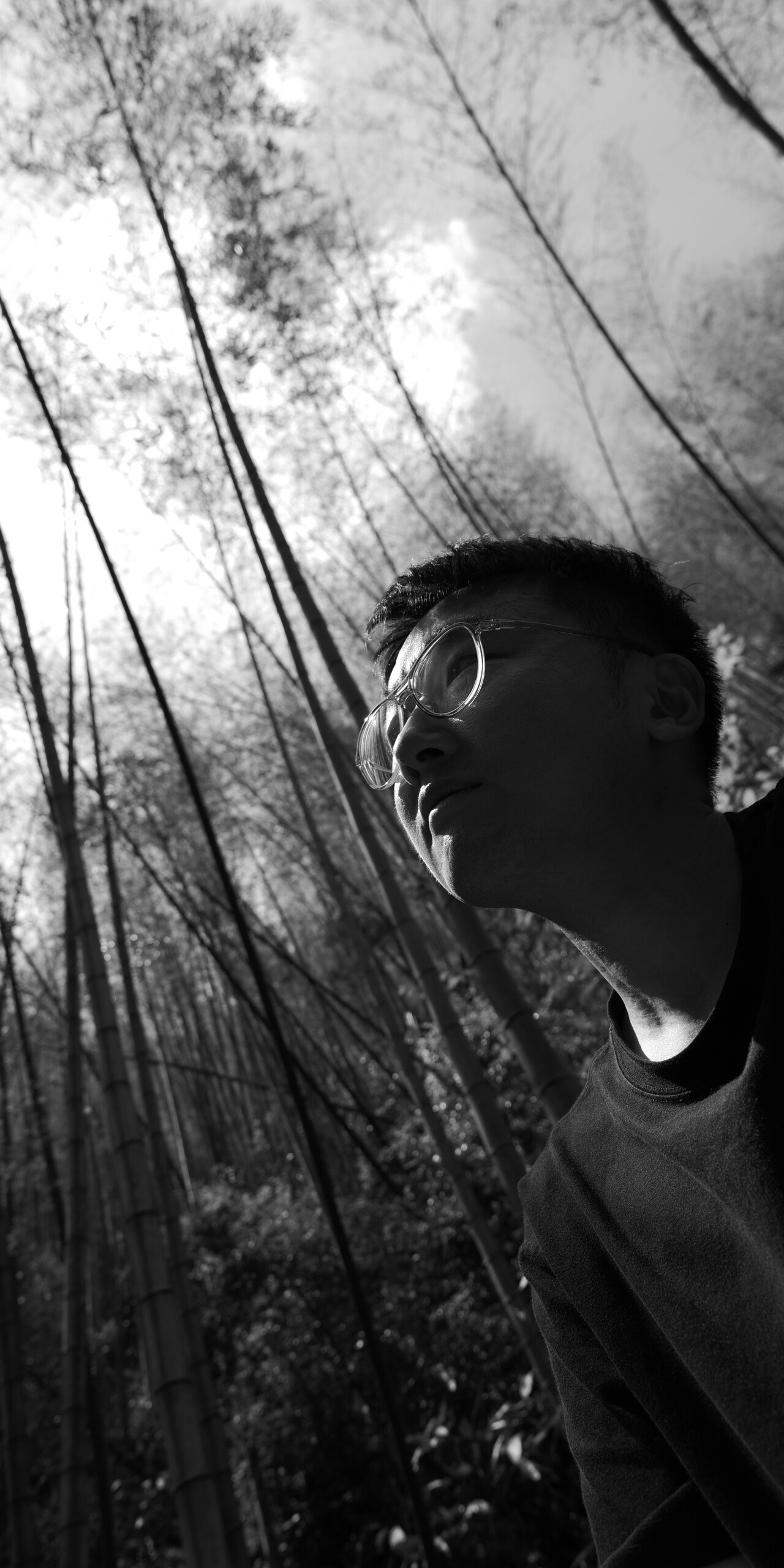 Go to lang tang's profile