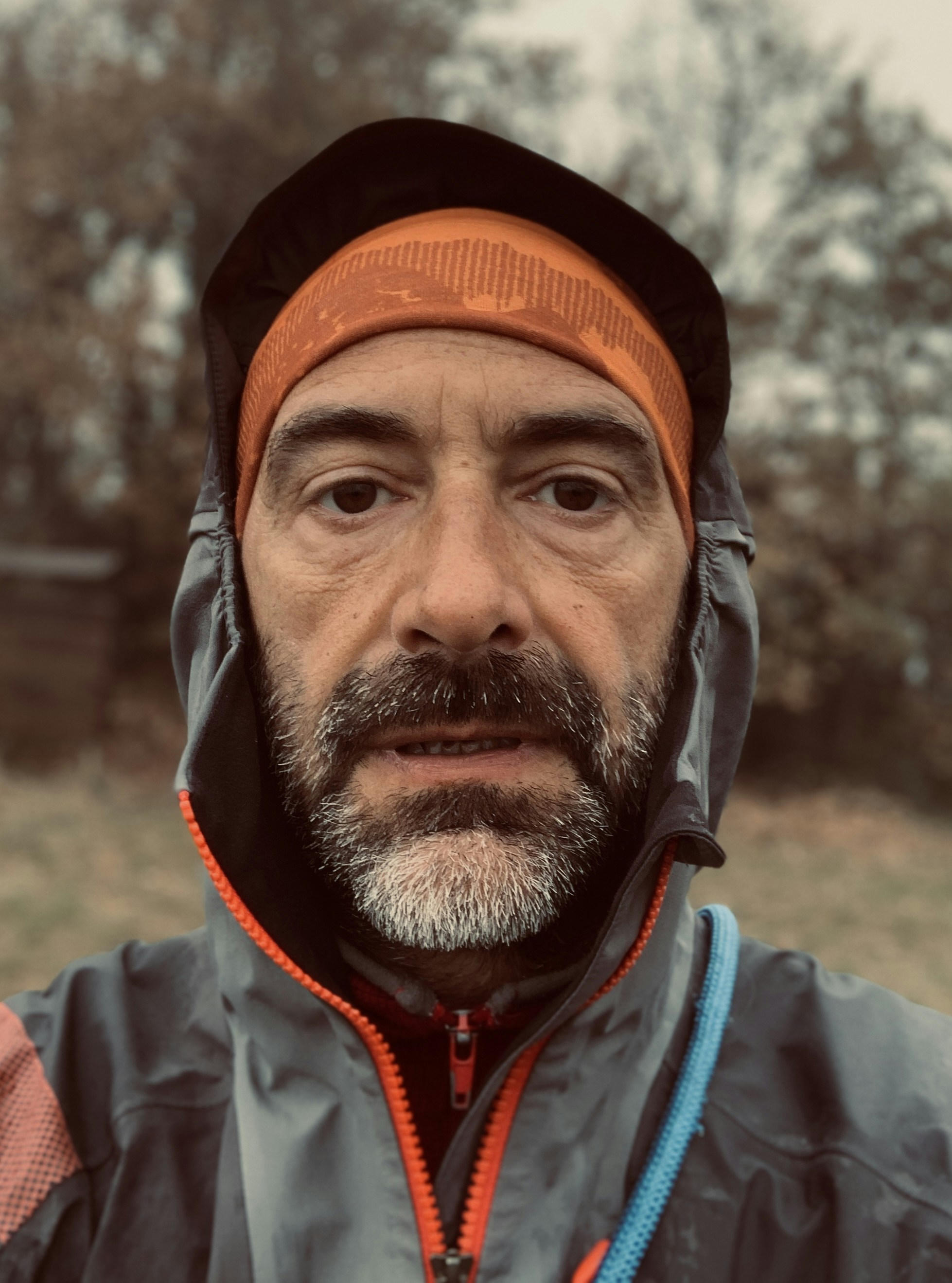 Vai al profilo di marco forno