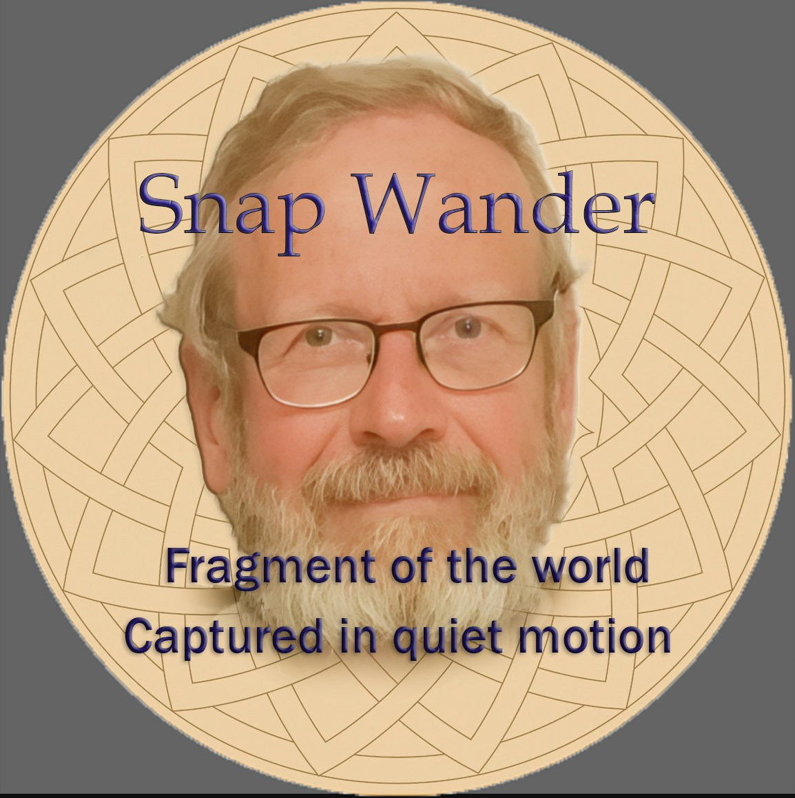 Ve al perfil de Snap Wander