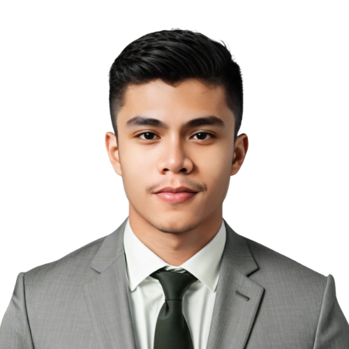 Avatar of user DANTE FABILLAR