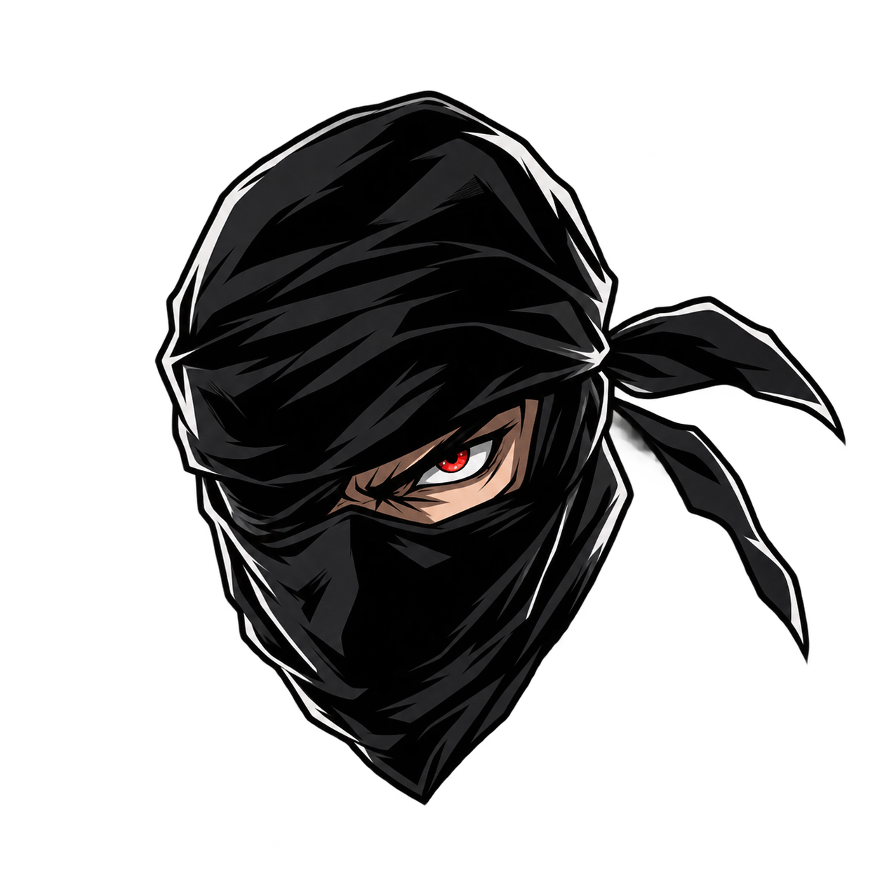 Accéder au profil de hiding ninja