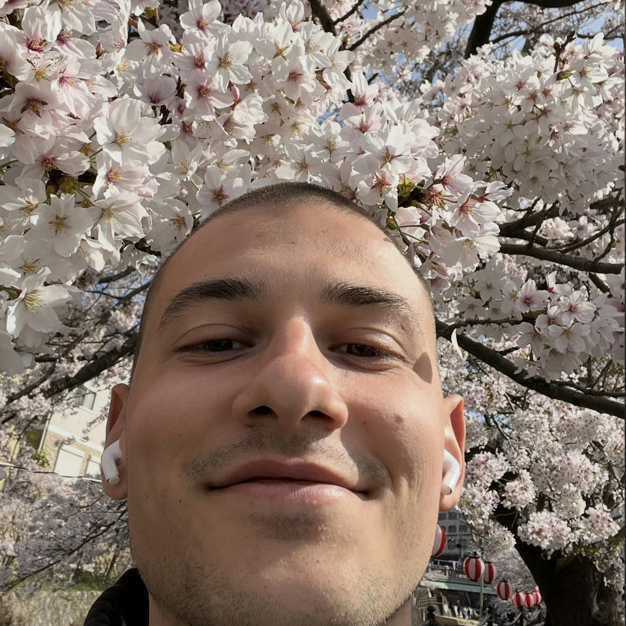 Go to Fabian Bächli's profile