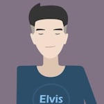 Avatar of user Elvis Gao