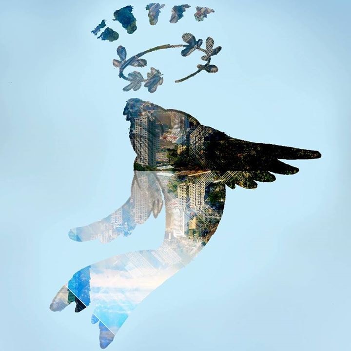Unsplash profile picture for @josee