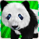 Avatar of user Mini Panda