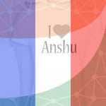 Avatar of user Anshu Yaduvanshi