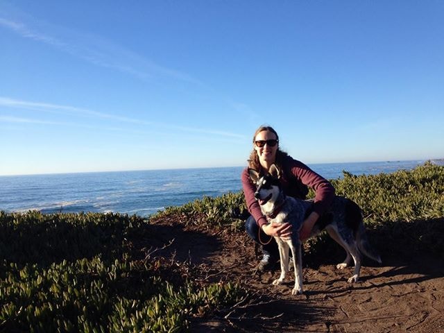 Go to Molly Lautamo's profile