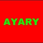 Avatar of user Karim Ayary