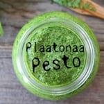 Avatar of user Plaatonaa Pesto