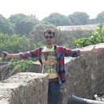 Avatar of user Vishal Mevada