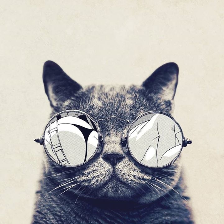 Unsplash profile picture for @spirit