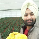 Avatar of user Harvinder Singh