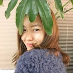 Avatar of user 정 수