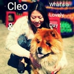 Avatar of user Cleo Yu