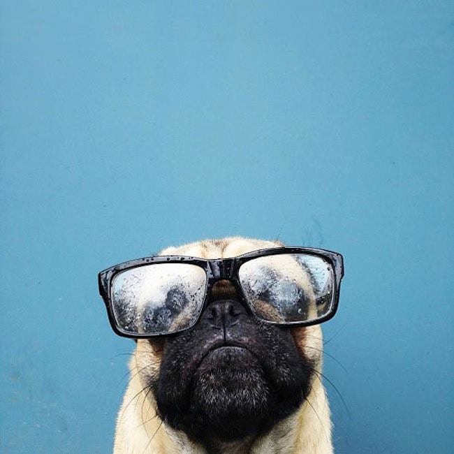 Go to Bartosz Palus's profile