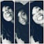 Go to Audrey M Jackson's profile