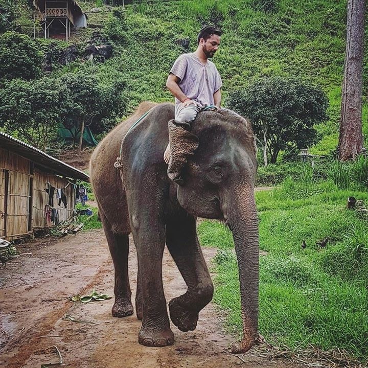 Go to Nelson Eulalio's profile