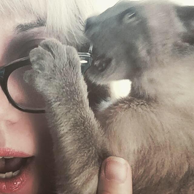 Go to Catherine Connors's profile