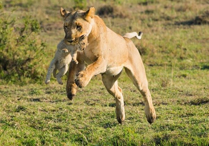 Avatar of user dharmendra sahu