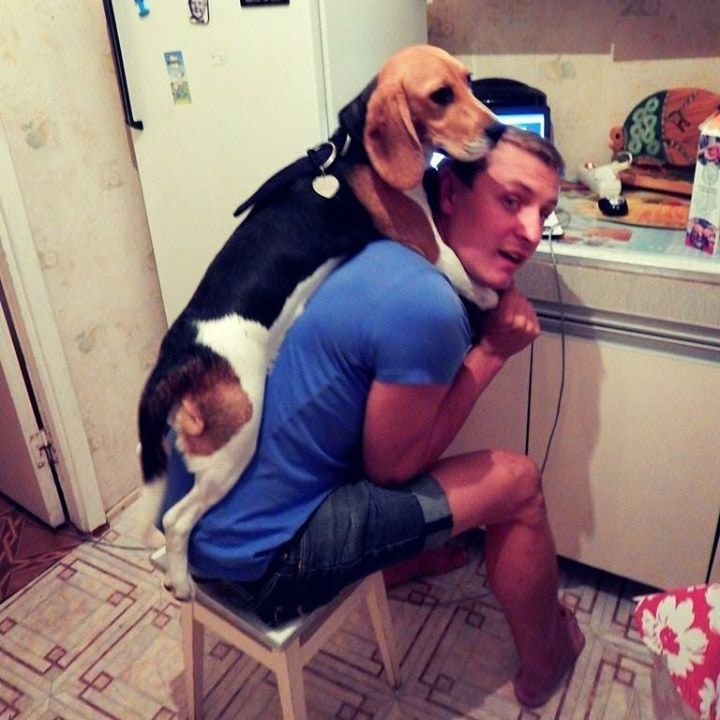 Go to Oleksii Hlembotskyi's profile