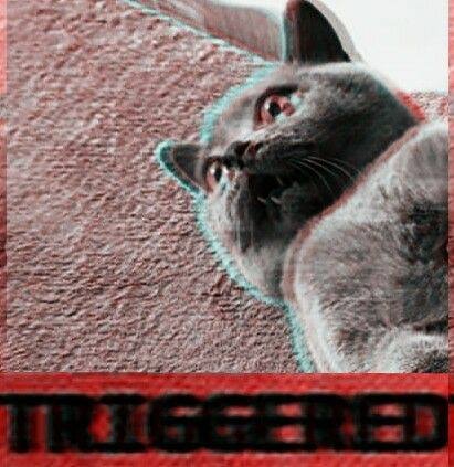 Go to Bartek Garbowicz's profile