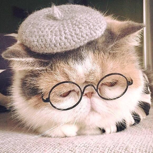 Go to Cyrus Chew's profile