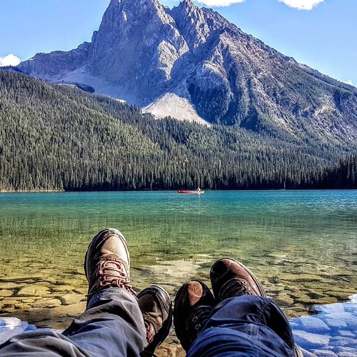 Avatar of user Shai Pal