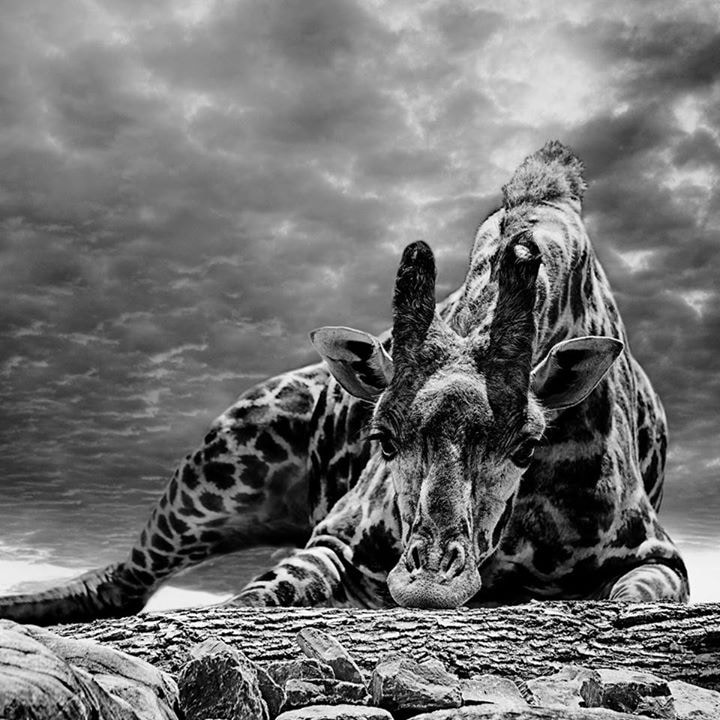 Go to Richard Hamilton's profile