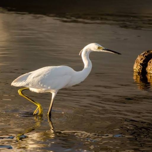 Go to Chris Sabor's profile