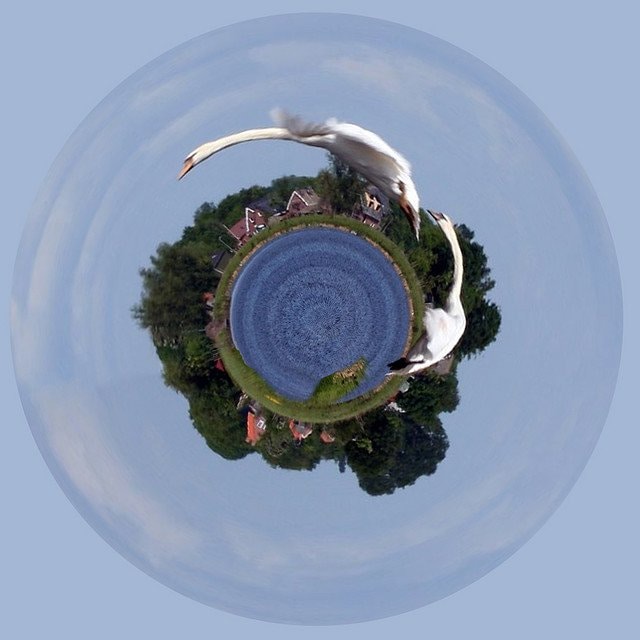 Go to Marcel Scholte's profile