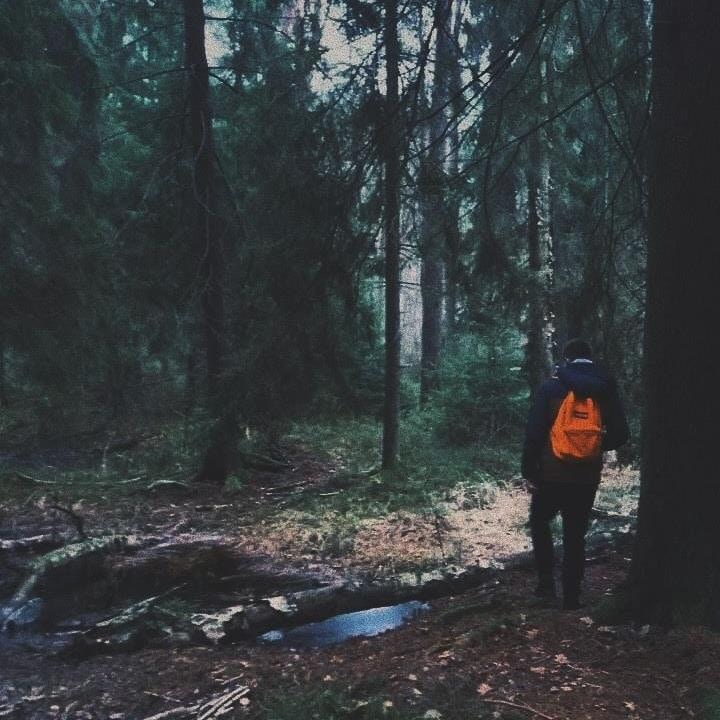 Go to Adam Cybulski's profile