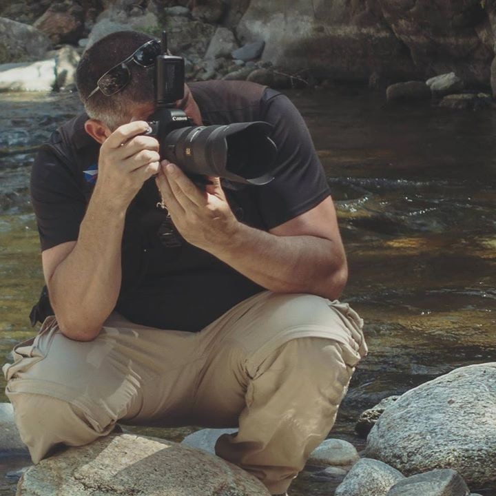 Accéder au profil de Grégory Palmer