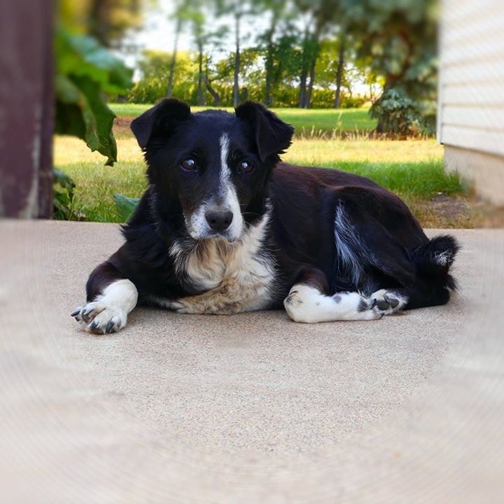 Go to Sue Thomas's profile