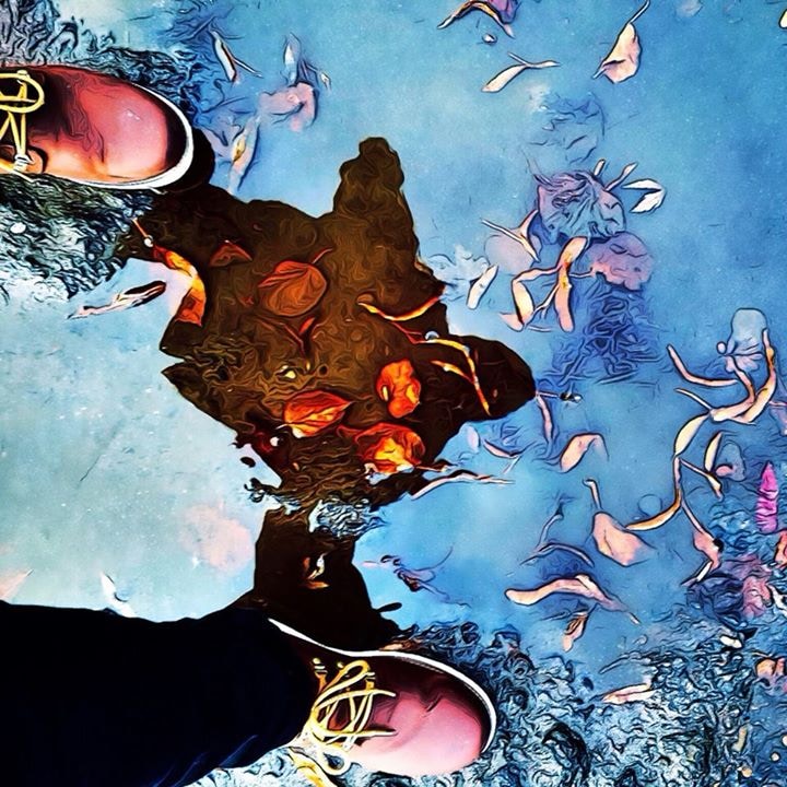 Go to Petro Petrovych's profile