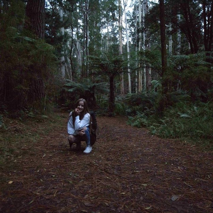 Avatar of user Lauren Kay