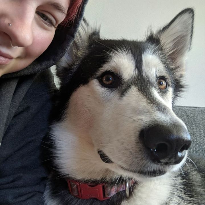 Ve al perfil de Sierra Houk