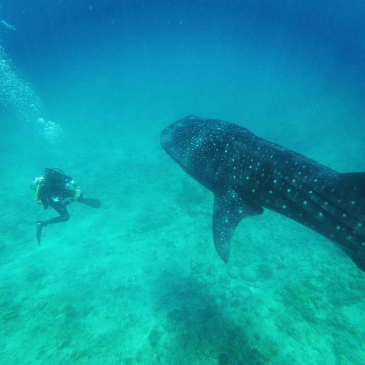 Go to Yi Wu's profile