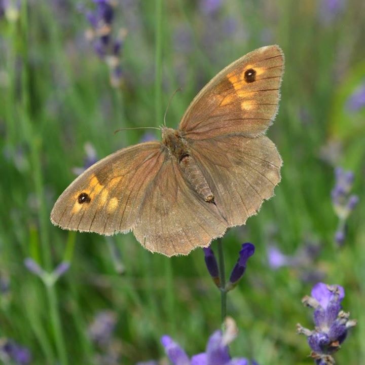 Go to Océane George's profile