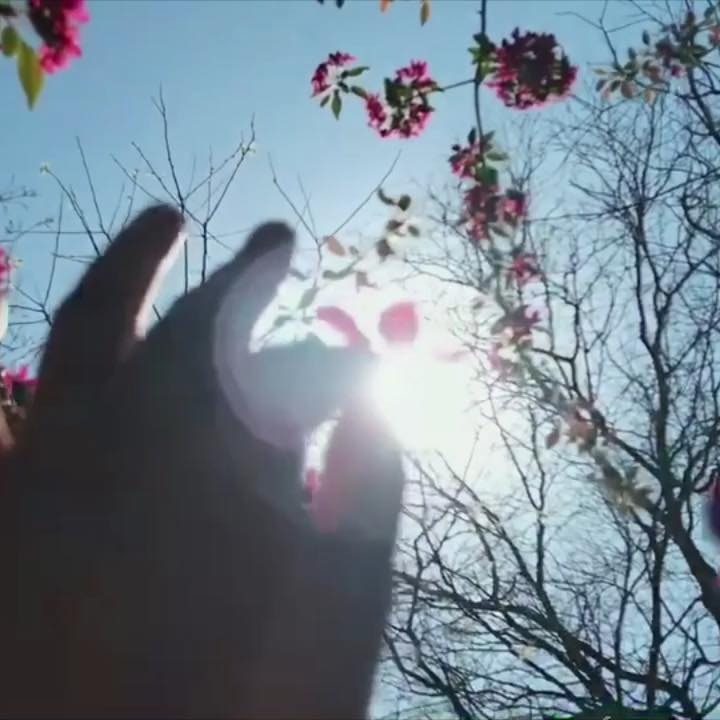 Go to Inga Gezalian's profile