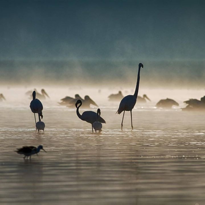 Avatar von Benutzer lee bernd