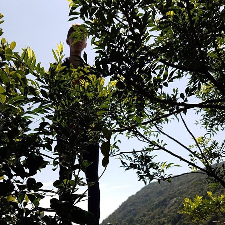 Go to Joseph Anson's profile