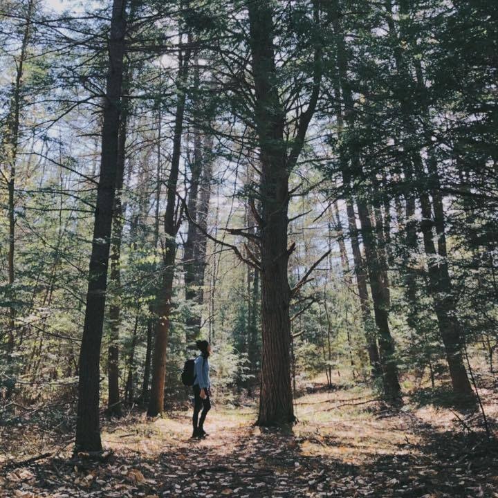 Avatar of user Sandy Kuo